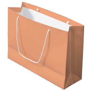 Grand Sac Cadeau Apricot clair uni couleur uni pastel orange