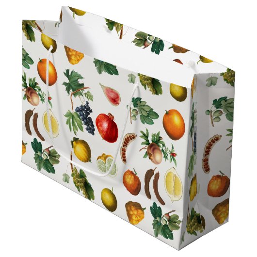 Grand Sac Cadeau Aquarelle Motif de fruits méditerranéen (Devant Angle)