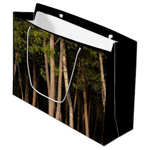 Grand Sac Cadeau Arbres forestiers au coucher du soleil