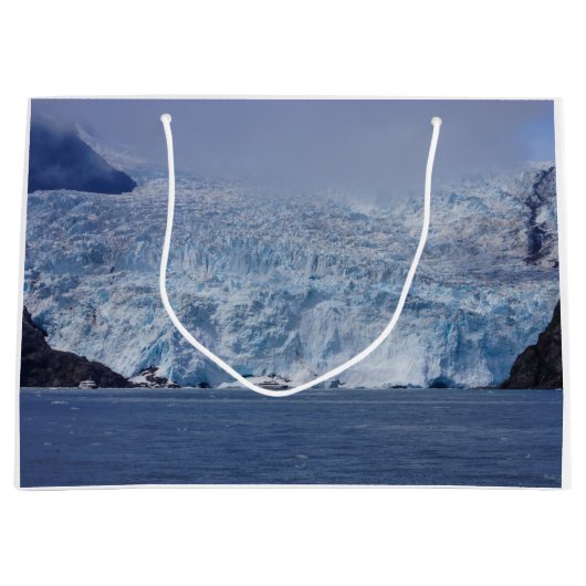 Grand Sac Cadeau Beauté congelée (Devant)