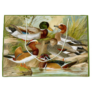 Grand Sac Cadeau Beaux Canards Vintages À La Faune De L'Étang