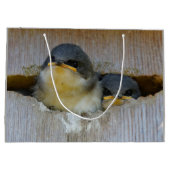 Grand Sac Cadeau Bébé mignon Avales Songbirds dans Nestbox (Dos)