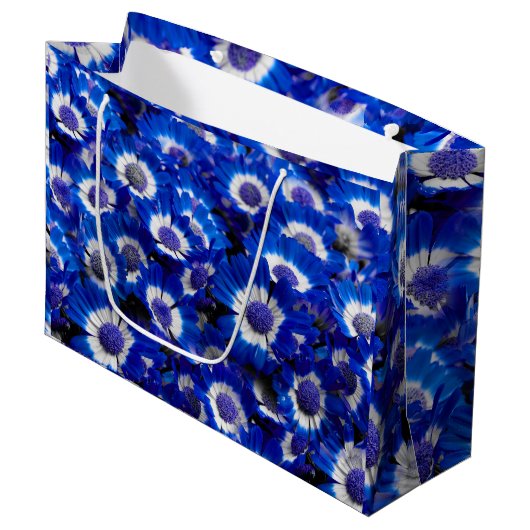 Grand Sac Cadeau Belle Royal Blue Cineraria Fleurs (Devant Angle)