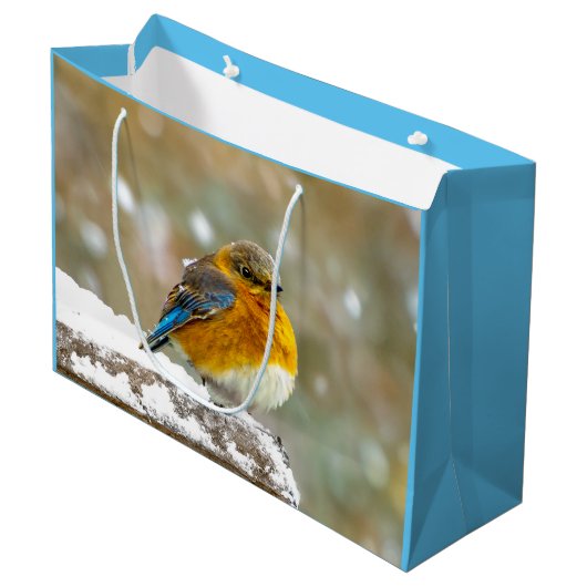 Grand Sac Cadeau Bleuet de l'Est en neige - Photo originale (Devant Angle)