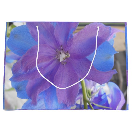 Grand Sac Cadeau Bowen (Devant)