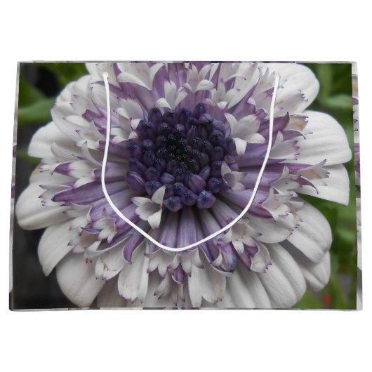 Grand Sac Cadeau Brett (Devant)