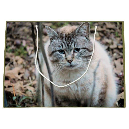 Grand Sac Cadeau Cat (Devant)