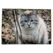 Grand Sac Cadeau Cat (Dos)