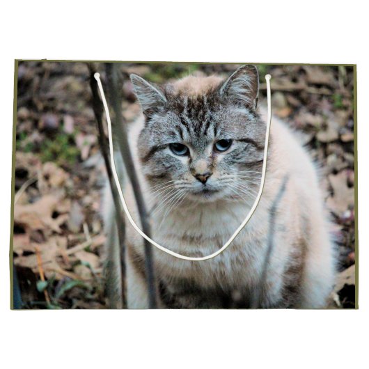 Grand Sac Cadeau Cat (Dos)