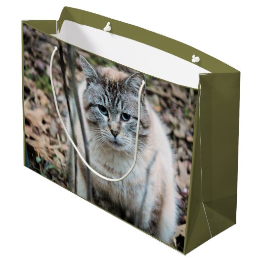 Grand Sac Cadeau Cat (Dos Angle)