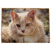 Grand Sac Cadeau Cat (Dos)