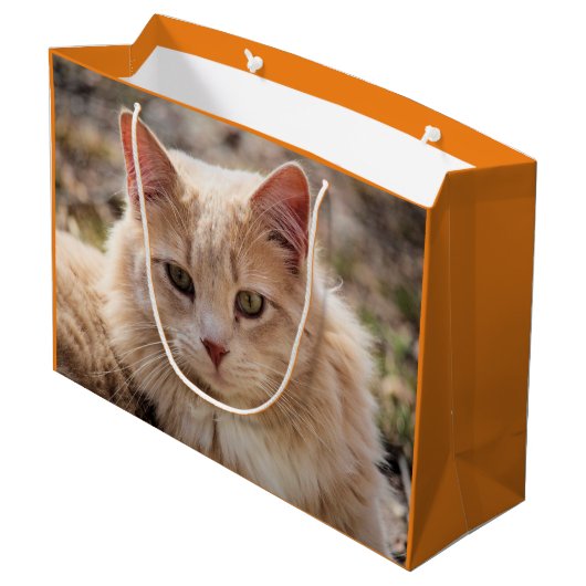 Grand Sac Cadeau Cat (Dos Angle)