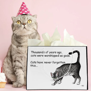 Grand Sac Cadeau Chat égyptien mau gris humoristique et fantaisiste