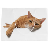 Grand Sac Cadeau Chat Orange Posé En Bas (Dos)