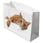 Grand Sac Cadeau Chat Orange Posé En Bas (Dos Angle)