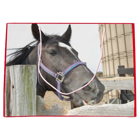 Grand Sac Cadeau Cheval mignon à mâcher sur une clôture (Devant)