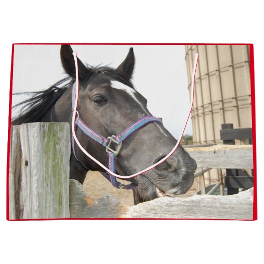 Grand Sac Cadeau Cheval mignon mâcher sur une clôture (Devant)