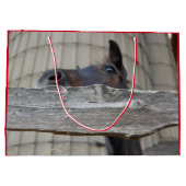 Grand Sac Cadeau Cheval mignon mâcher sur une clôture (Dos)