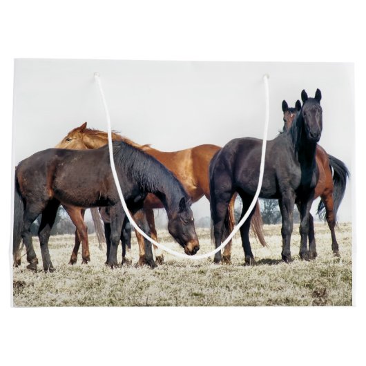 GRAND SAC CADEAU CHEVAUX (Dos)