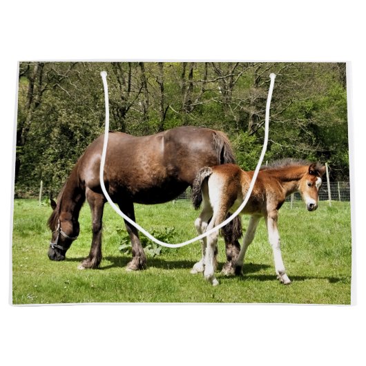 GRAND SAC CADEAU CHEVAUX (Devant)