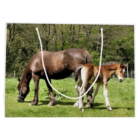 GRAND SAC CADEAU CHEVAUX (Dos)