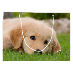 Grand Sac Cadeau Chiot mignon de golden retriever rêvant le