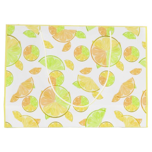 Grand Sac Cadeau citron vert orange tranches fruits agrumes nature (Dos)