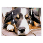 GRAND SAC CADEAU COLLÈGES FRONTALIERS (Dos)