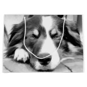 GRAND SAC CADEAU COLLIE FRONTALIÈRE (Devant)