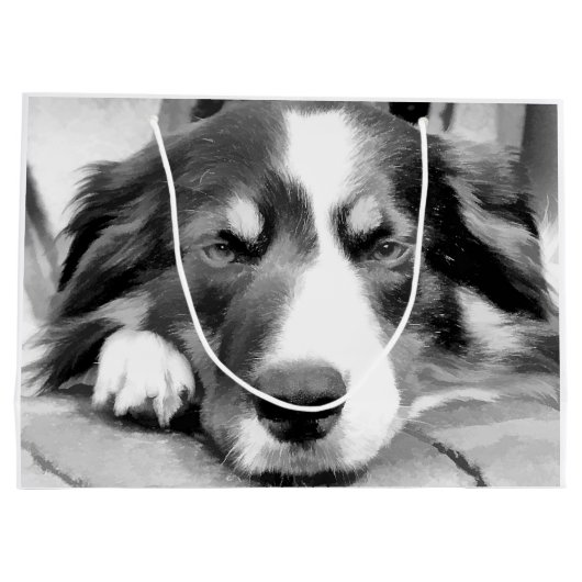 GRAND SAC CADEAU COLLIE FRONTALIÈRE (Dos)