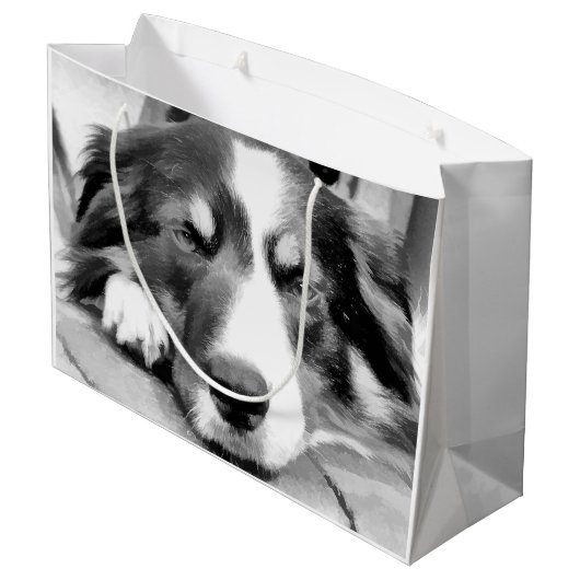 GRAND SAC CADEAU COLLIE FRONTALIÈRE (Dos Angle)
