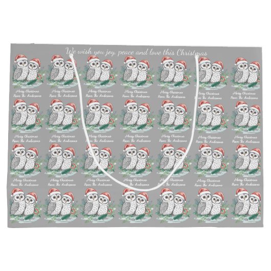 Grand Sac Cadeau Cosy Cute Owl Christmas Gift Bag (Dos)