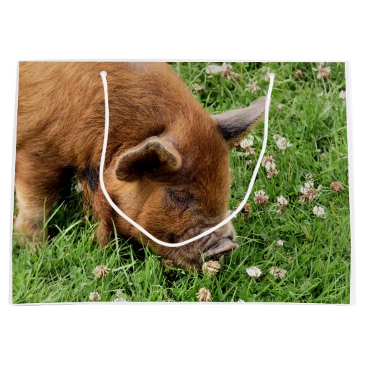 GRAND SAC CADEAU COUPER (Devant)