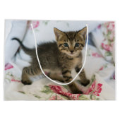 Grand Sac Cadeau Cute Tabby Kitten Semblable Anniversaire Surpris (Dos)