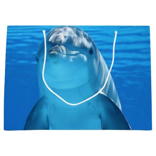 Grand Sac Cadeau Dauphin (Devant)