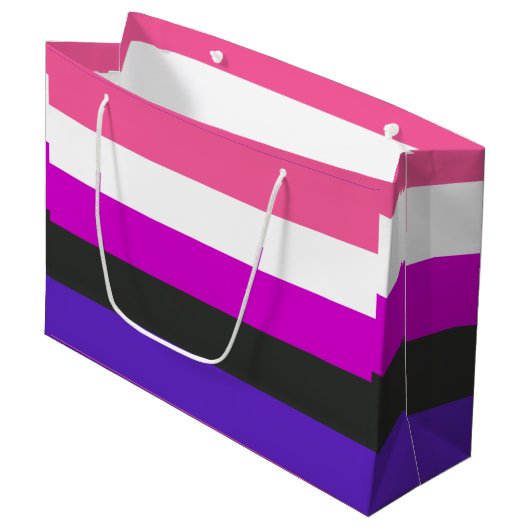 Grand Sac Cadeau Drapeau de fierté genderfluid (Devant Angle)