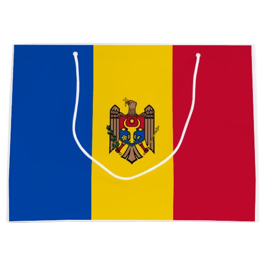 Grand Sac Cadeau Drapeau de Moldova (Devant)