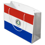 Grand Sac Cadeau Drapeau du Paraguay (Dos Angle)