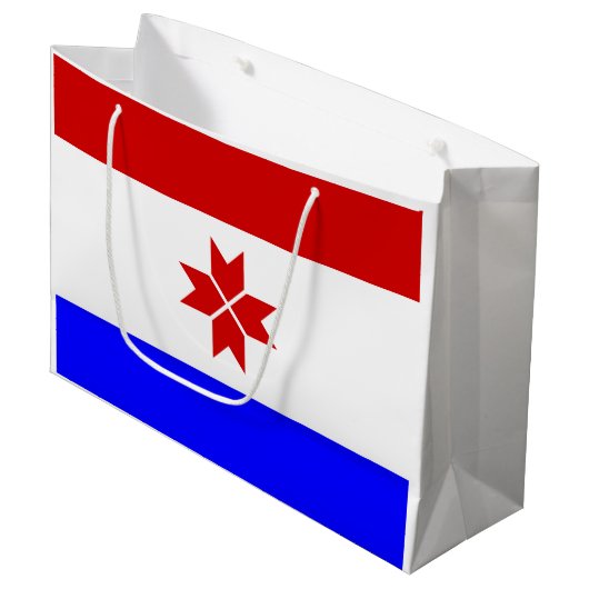 Grand Sac Cadeau Drapeau Mordovia (Devant Angle)