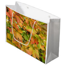 Feuille sauvage de vigne d'automne