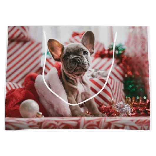 Grand Sac Cadeau French Bulldog (Devant)