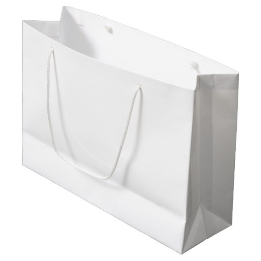 GRAND SAC CADEAU FUN AND FABULOUS GIFT BAG (Devant Angle)