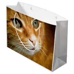 Grand Sac Cadeau Gingembre adorable Tabby Chat Poster Portrait anim