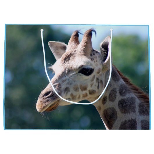 Grand Sac Cadeau Giraffe (Dos)