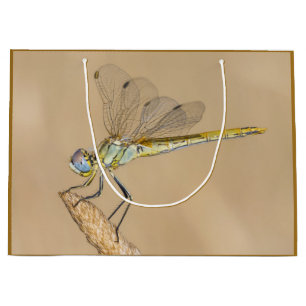 Grand Sac Cadeau Grande Libellule Skimmer Femelle (CC BY 4.0) 