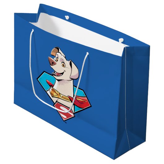 Grand Sac Cadeau Graphique Krypto S-Shield (Devant Angle)