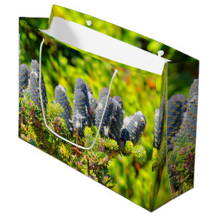 Grand Sac Cadeau Gros cônes de sapin coréen bleu