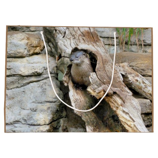 Grand Sac Cadeau Harry Otter (Dos)