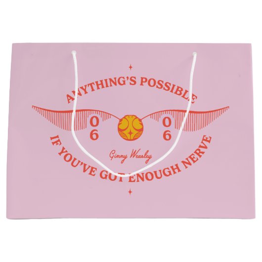 Grand Sac Cadeau HARRY POTTER™ | Tout est possible (Devant)