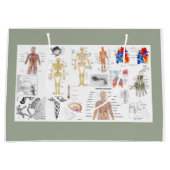 Grand Sac Cadeau Human Anatomy Charts (Devant)